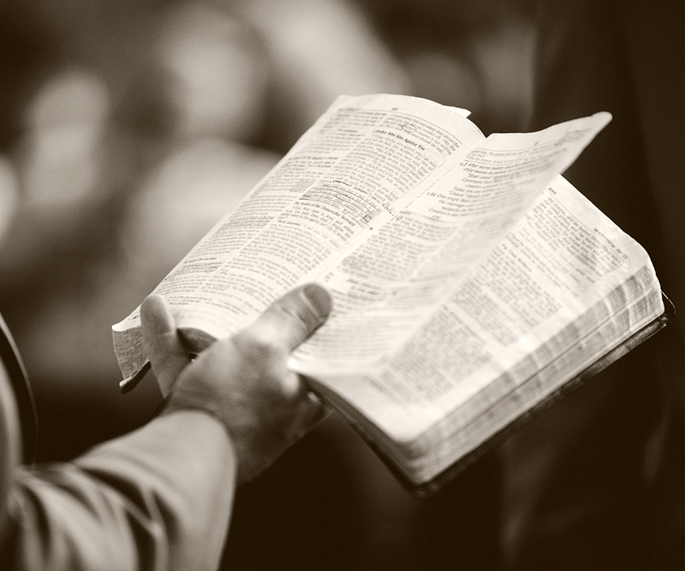 Person holding and reading a bible