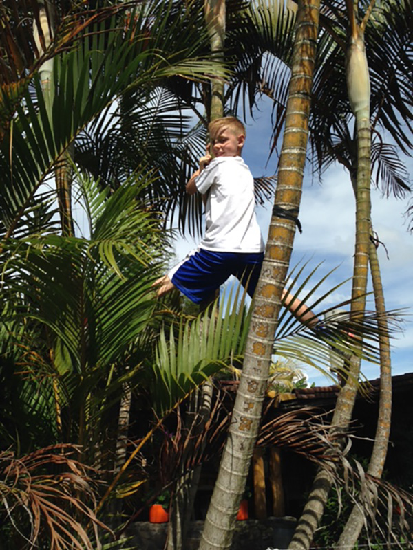 Kid climbing a palm tree in Colombia