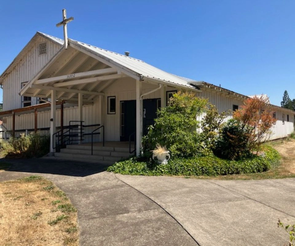 Person holding and reading a bible